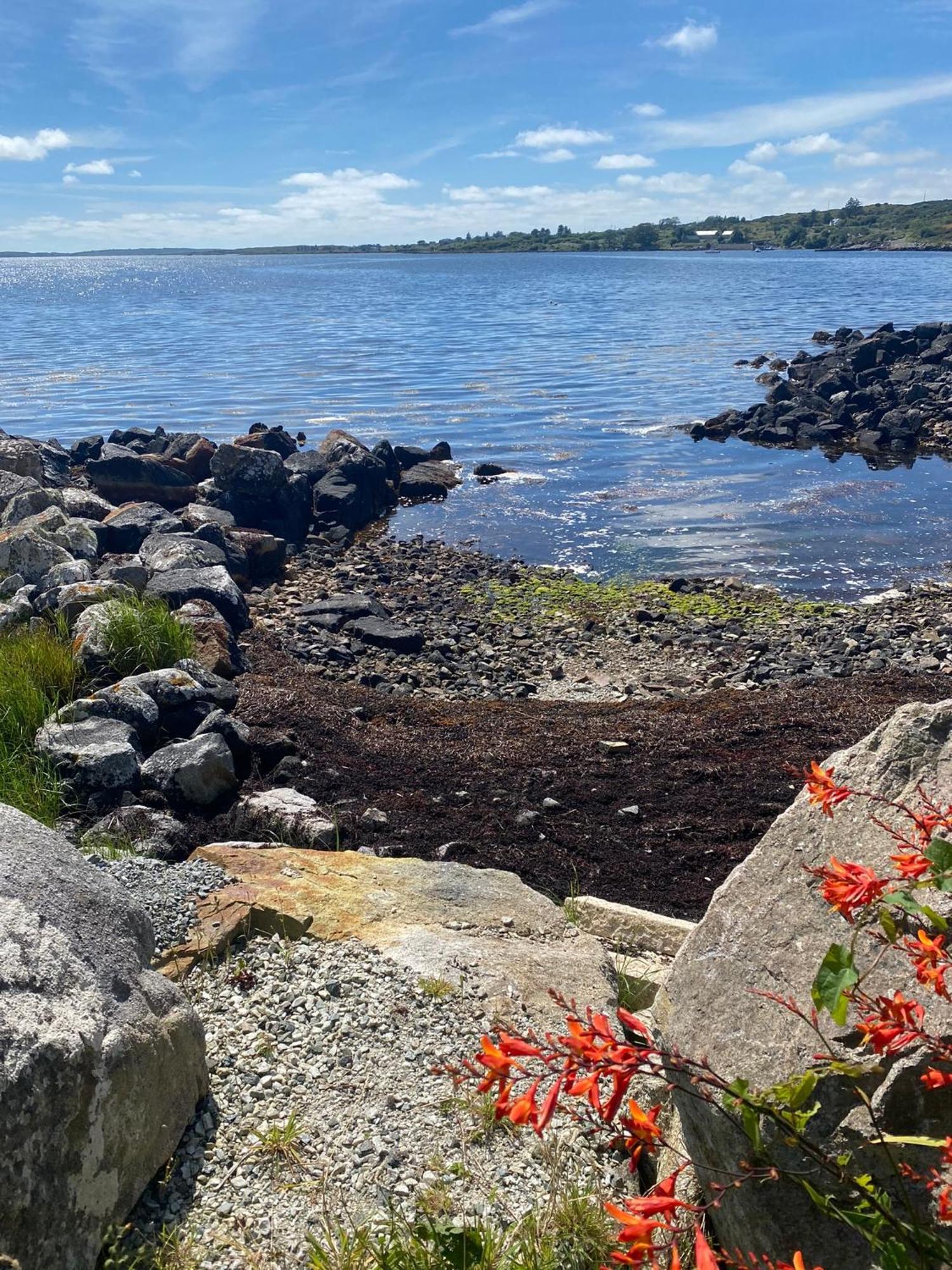 Bayside Cottage Connemara Canower Экстерьер фото